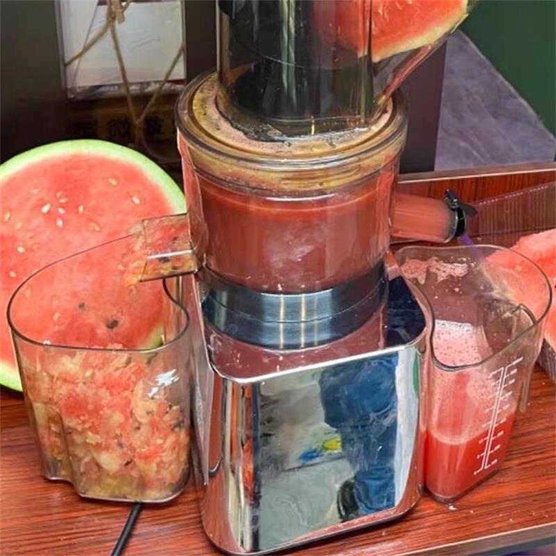 Juicer Cold Press Slow - Mesin Ekstraktor Jus Masticating 500W untuk