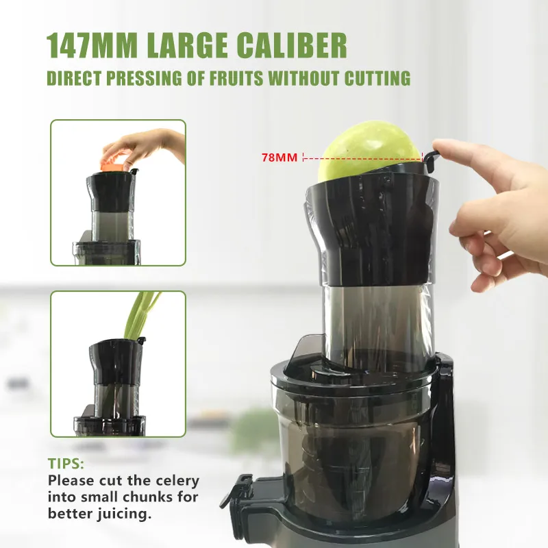Mesin Pembuat Jus Jeruk FirmHo - Juicer Cold Press Slow ulasan dan harga