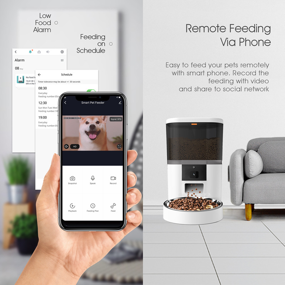 Pengumpan kucing otomatis cerd - Kitchen Appliances Video ulasan dan harga